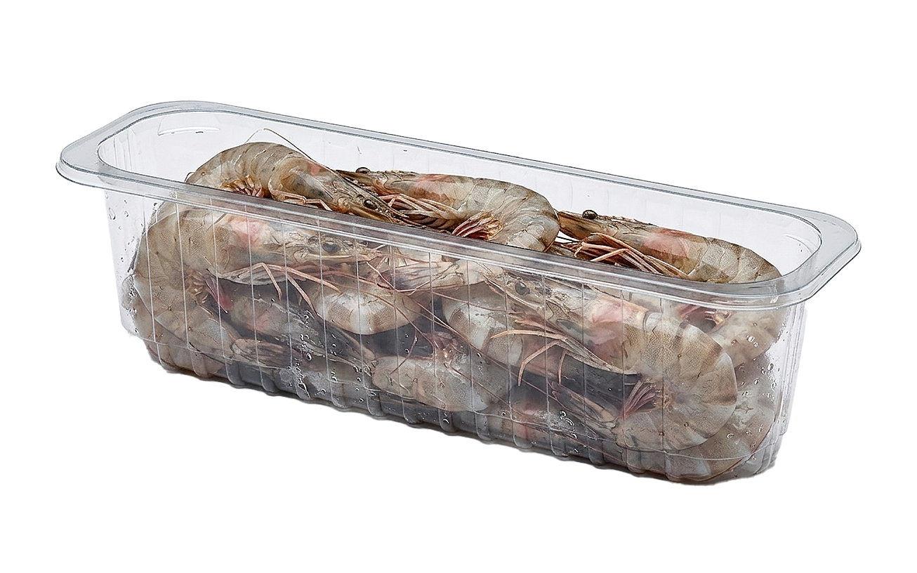 Контейнер 276x88x75