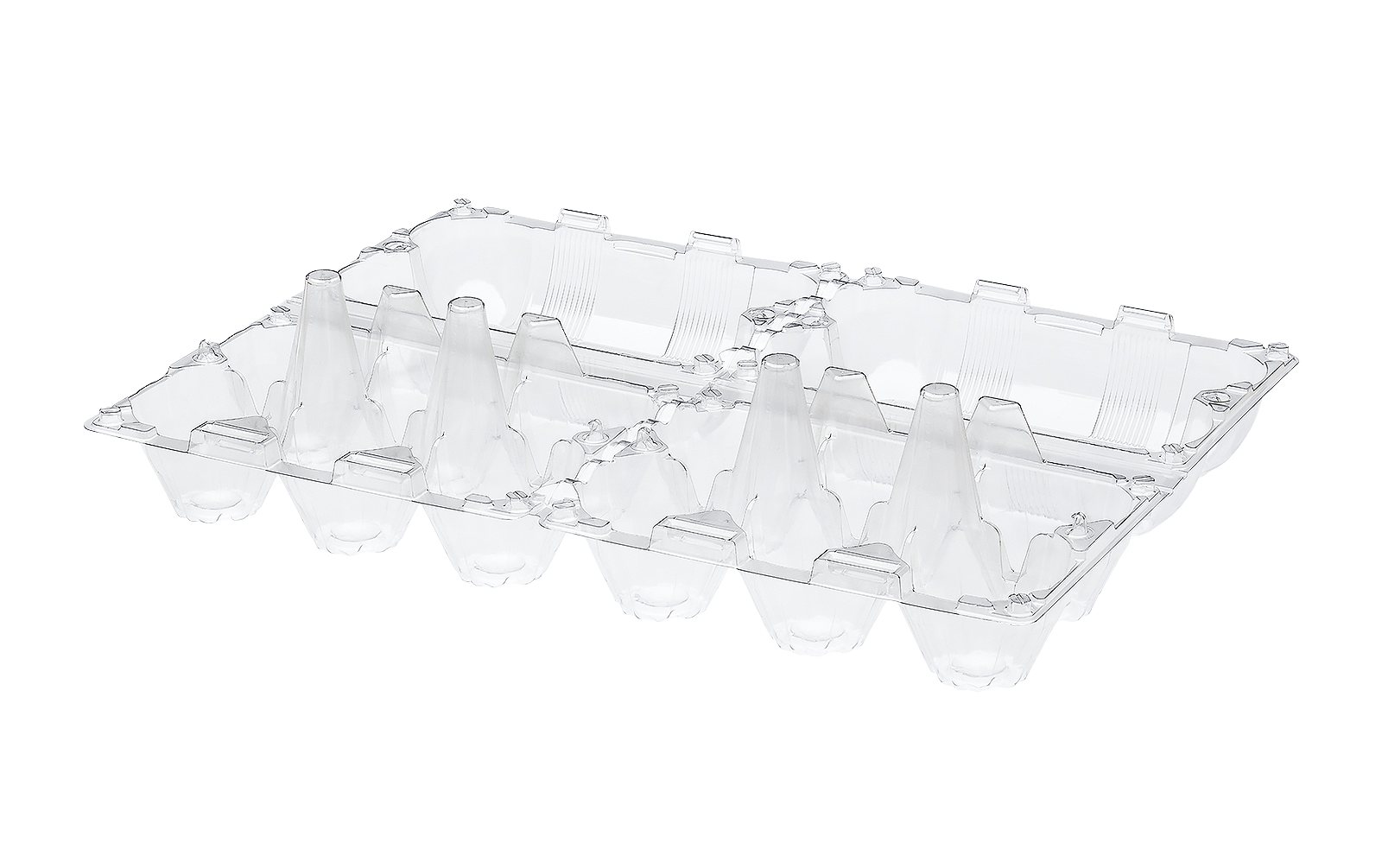 Лоток 2×6 Тип Б 220x295x72